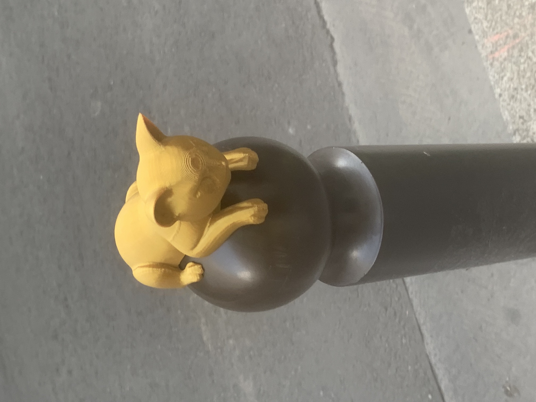 Cat 3 image