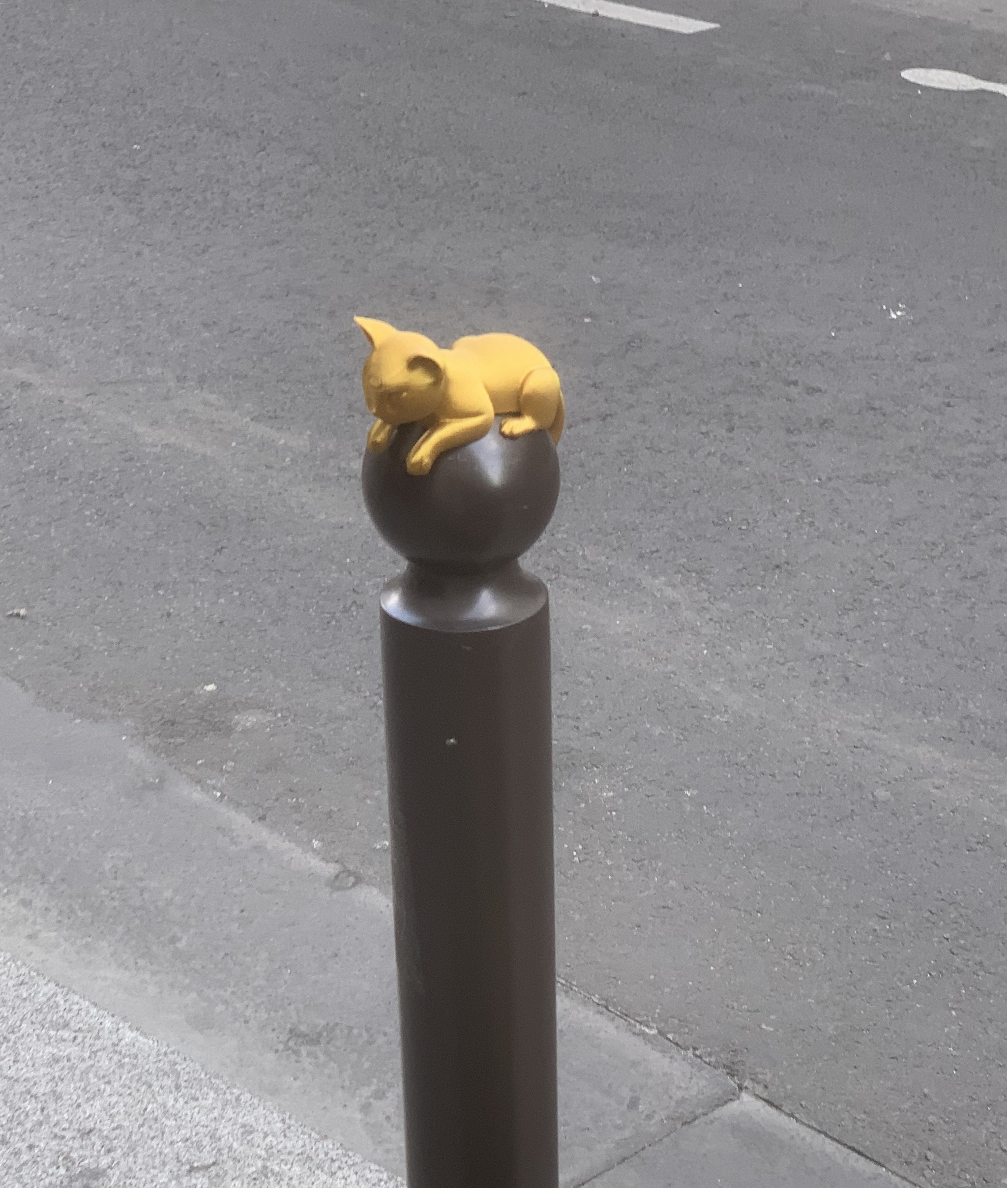 Cat 3 image