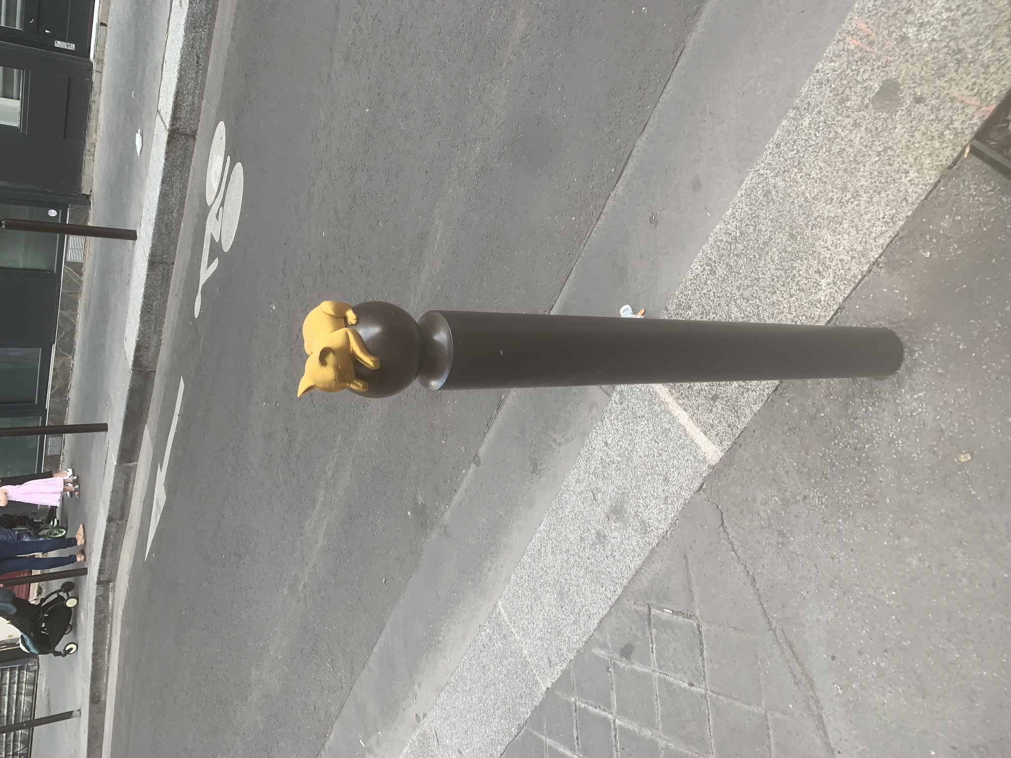Cat 3 image